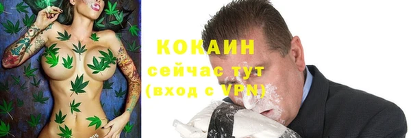 гашик Верея