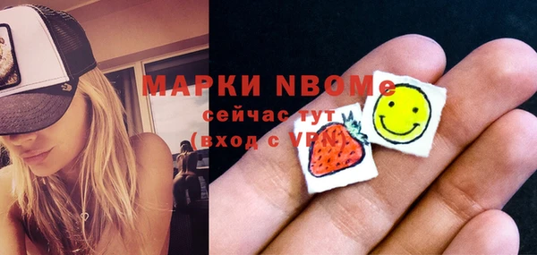 гашик Верея