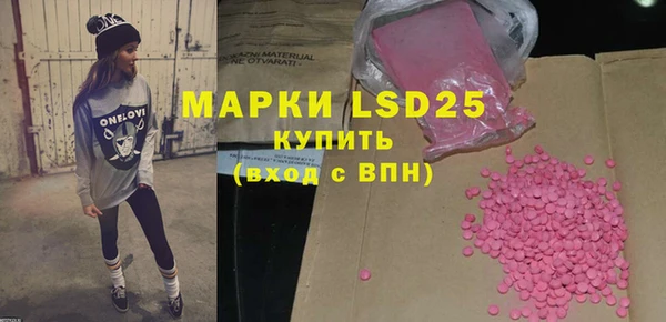 гашик Верея