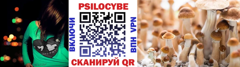 Псилоцибиновые грибы Cubensis  цена наркотик  Шумиха 